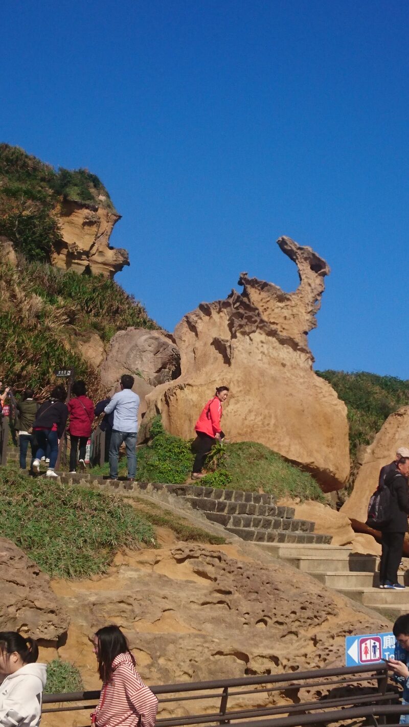 海鳥岩