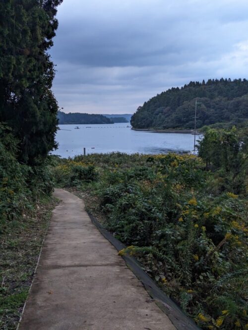 海に続く遊歩道
