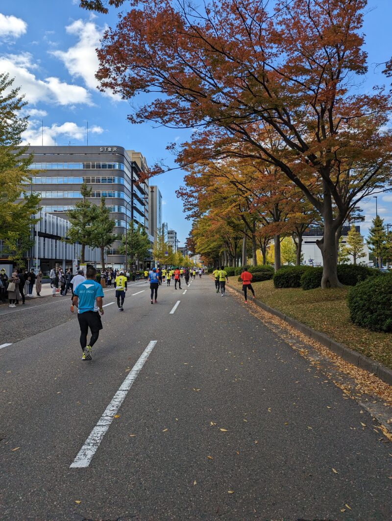 50m道路の紅葉