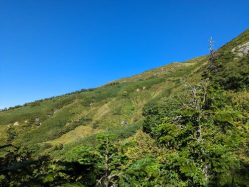 白山登り景色②