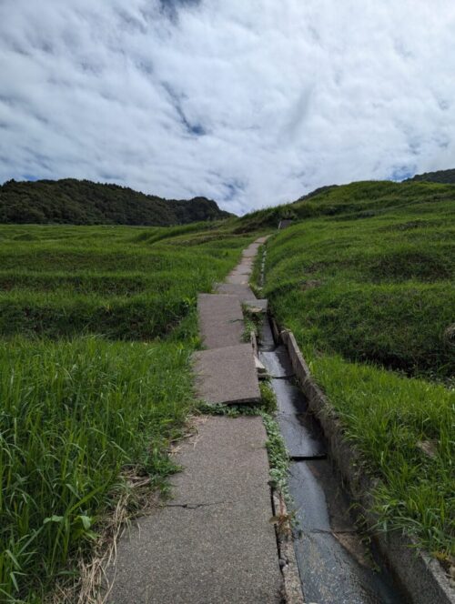 千枚田歩道