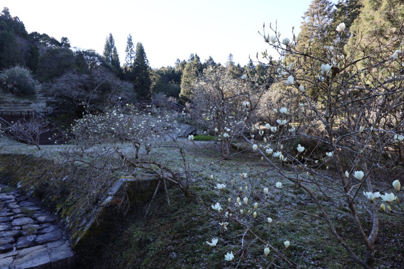 木蓮園