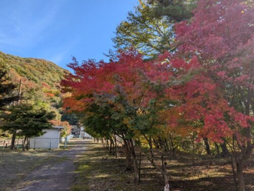 旧熊ノ平駅の紅葉