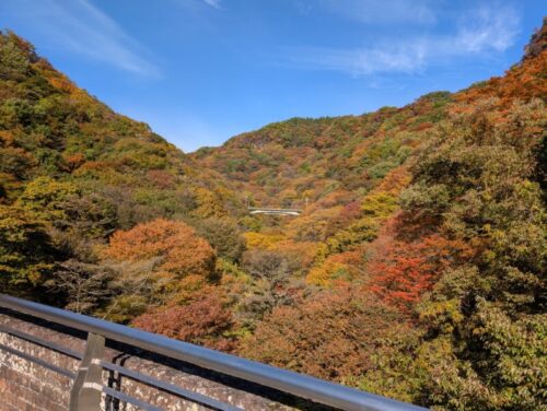 めがね橋からの紅葉