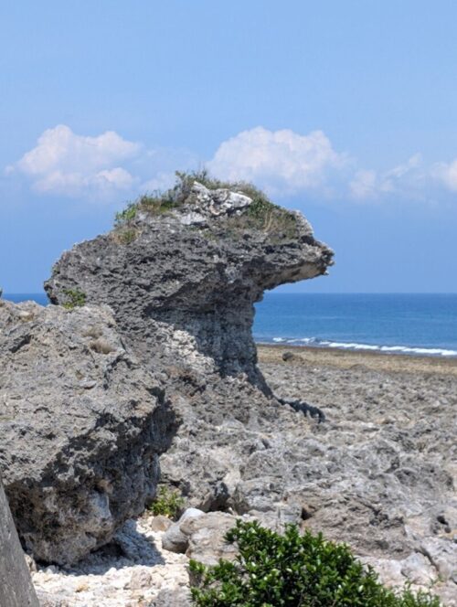 チーター岩